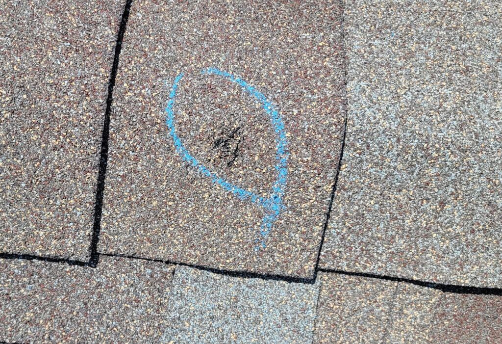 Hail damage on asphalt shingles, as seen in a blog about how to tell if your roof has hail damage